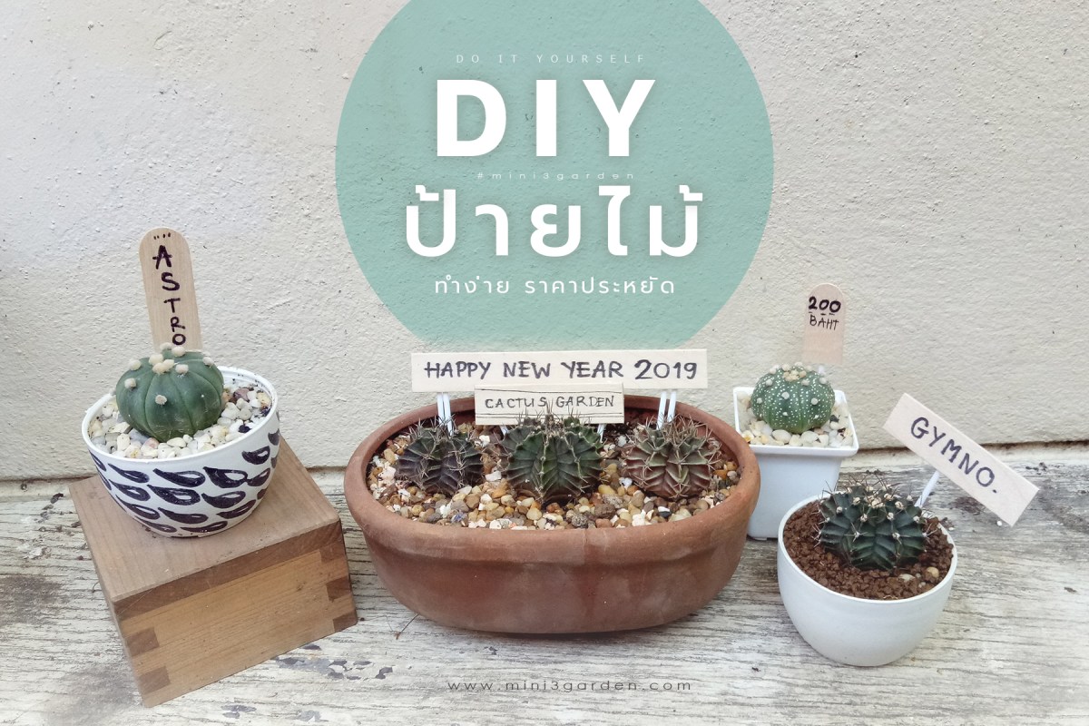 DIY ทำป้ายไม้ ป้ายแท็ก ต้นไม้ กระบองเพชร&nbsp;(แคคตัส)