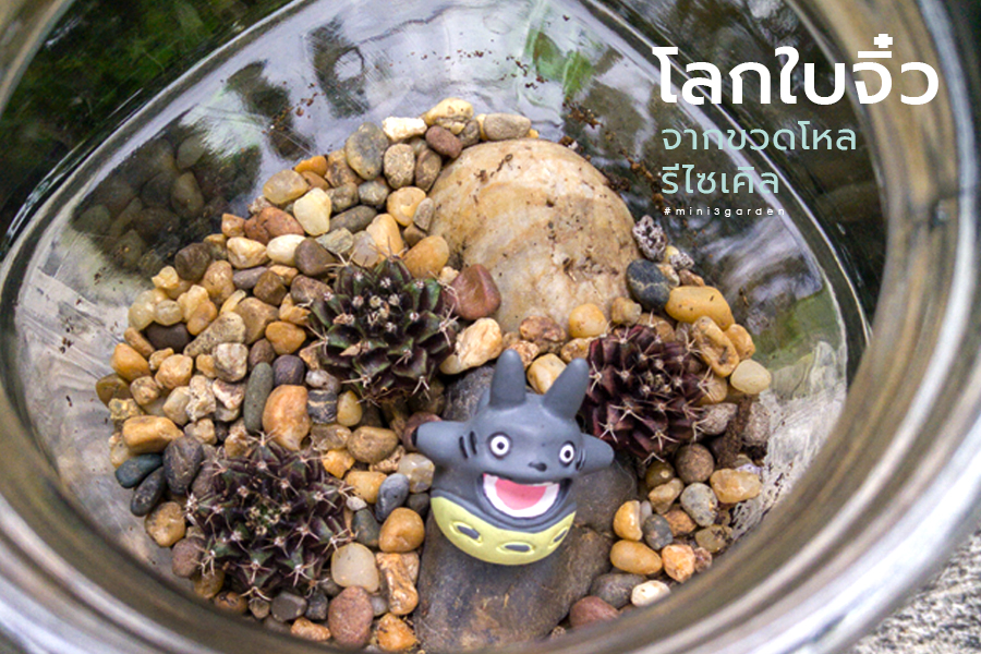 โลกใบจิ๋ว จากขวดโหล รีไซเคิล (สวนขวดกระบองเพชร)