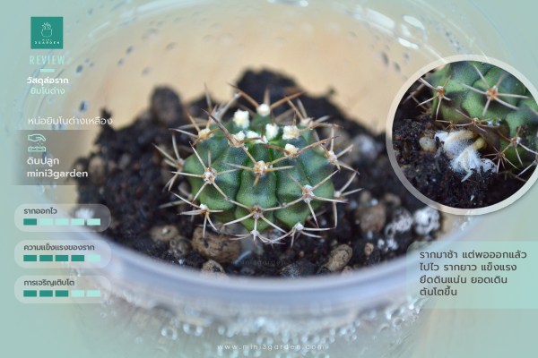 Review-create_new_root_03