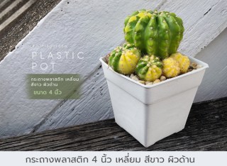 all_pot_product4inc_square