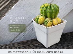 all_pot_product4inc_square