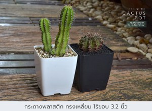 กระถางพลาสติก11