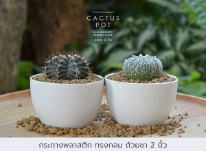 กระถางพลาสติก12