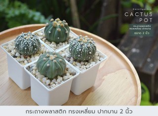 กระถางพลาสติก13