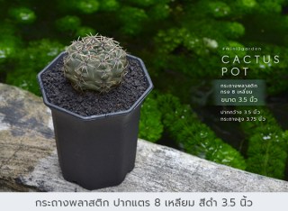 กระถางพลาสติก14