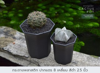 กระถางพลาสติก15