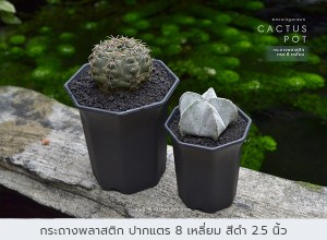 กระถางพลาสติก15