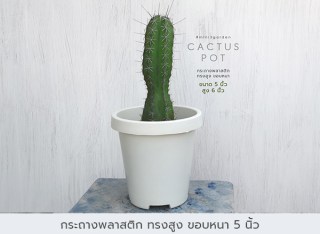 กระถางพลาสติก16