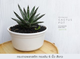 กระถางพลาสติก2