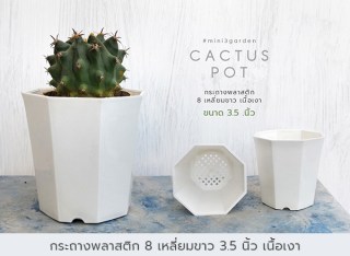 กระถางพลาสติก3