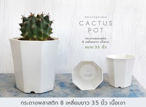 กระถางพลาสติก3