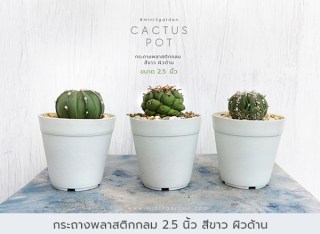 กระถางพลาสติก5