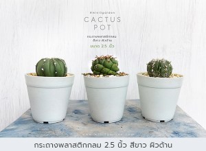 กระถางพลาสติก5