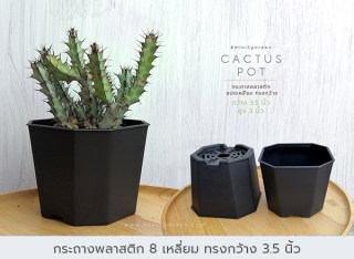 กระถางพลาสติก6