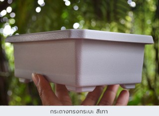 กระถางพลาสติก8