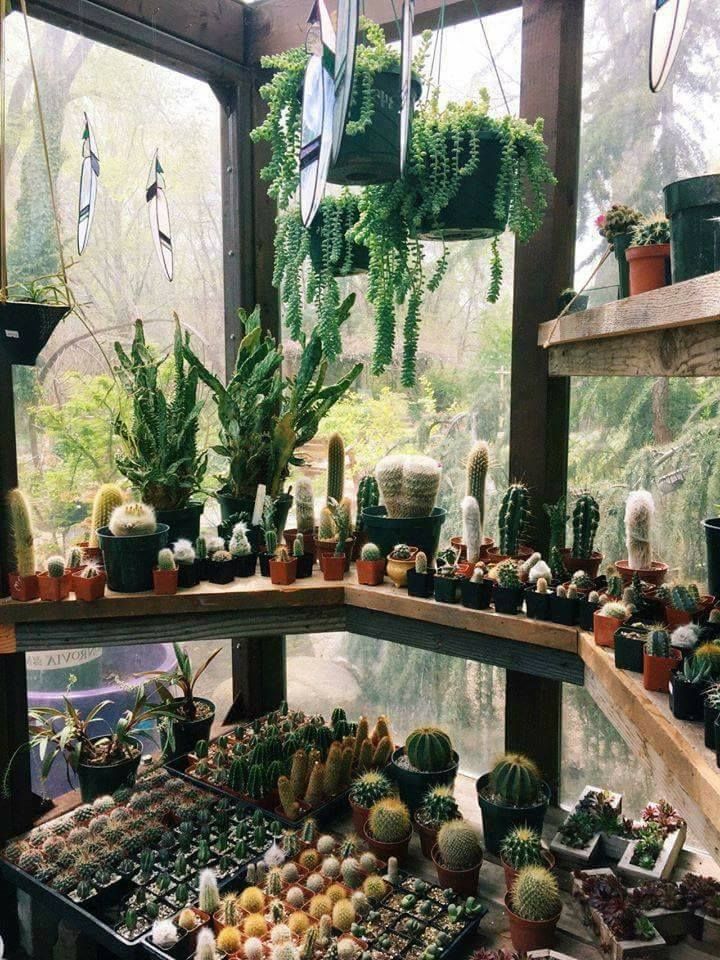 acc03ff13bc5b5ef541ae6a68aeb8fe4