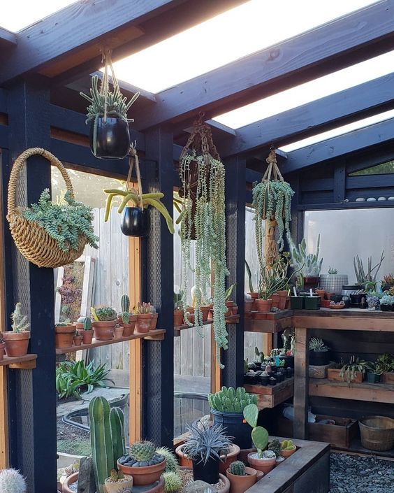 b8b7e8963d5901c543b8eb321529e506