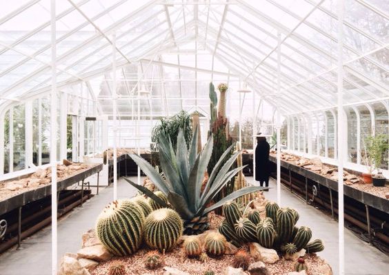 f1e12a498821295b50939d691fde2cea