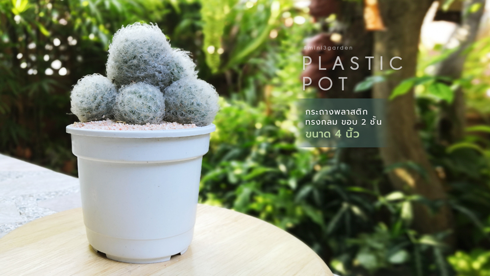 plastic_pot_4inc_w