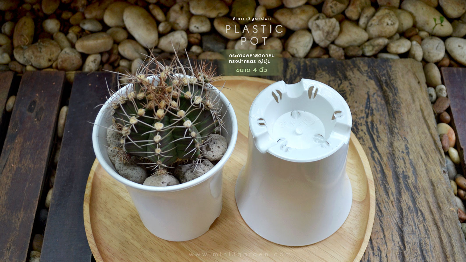 cactus-plastic-pot-japan-style-4inc-3.jpg