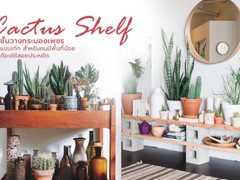 งาน DIY รีวิว ของใช้ ที่น่าสนใจ ในการทำสวน แต่งสวน&nbsp;แต่งบ้าน