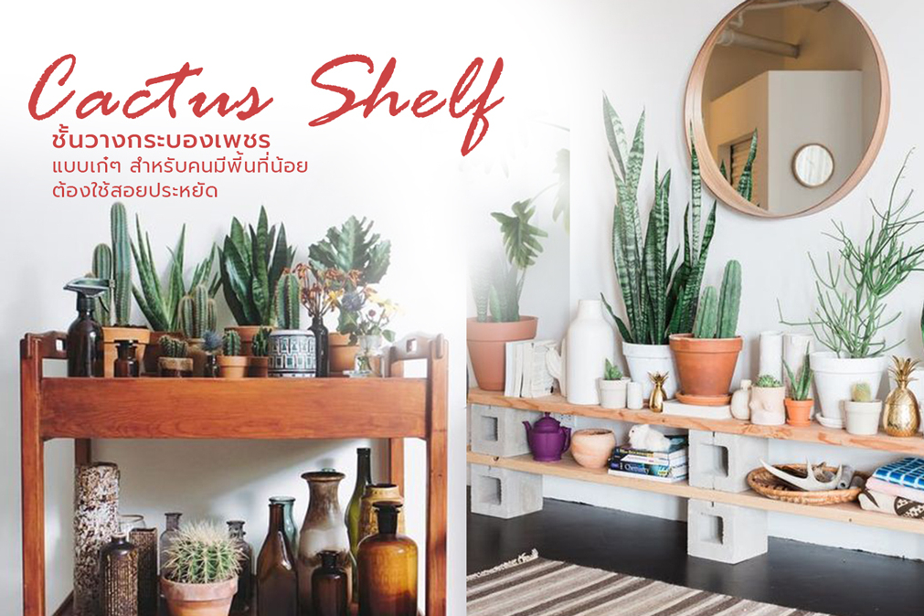 งาน DIY รีวิว ของใช้ ที่น่าสนใจ ในการทำสวน แต่งสวน&nbsp;แต่งบ้าน