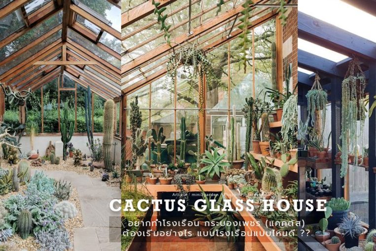 อยากทำโรงเรือน กระบองเพชร (แคคตัส) ต้องเริ่มอย่างไร แบบโรงเรือนแบบไหนดี ??