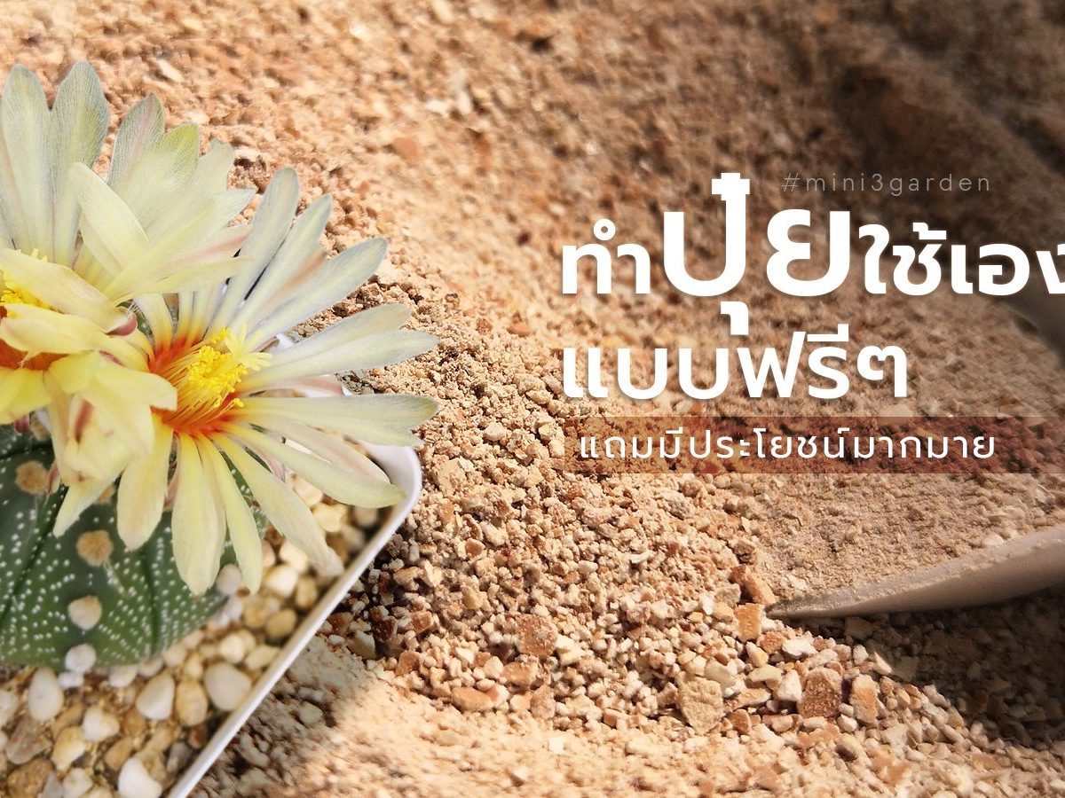 ทำปุ๋ยจาก “เปลือกไข่” ฟรี!! แถมมีประโยชน์มากมาย