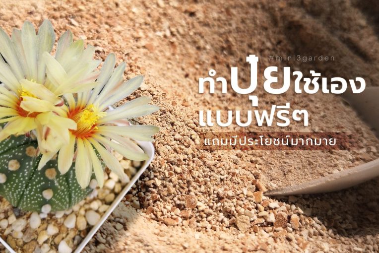 ทำปุ๋ยจาก “เปลือกไข่” ฟรี!! แถมมีประโยชน์มากมาย