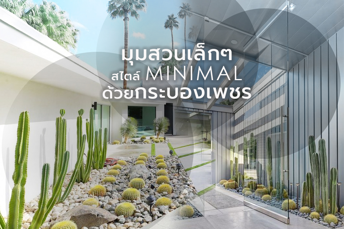 ไอเดียจัดมุมสวนเล็กๆ สไตล์มินิมอล ด้วยกระบองเพชร&nbsp;(แคคตัส)