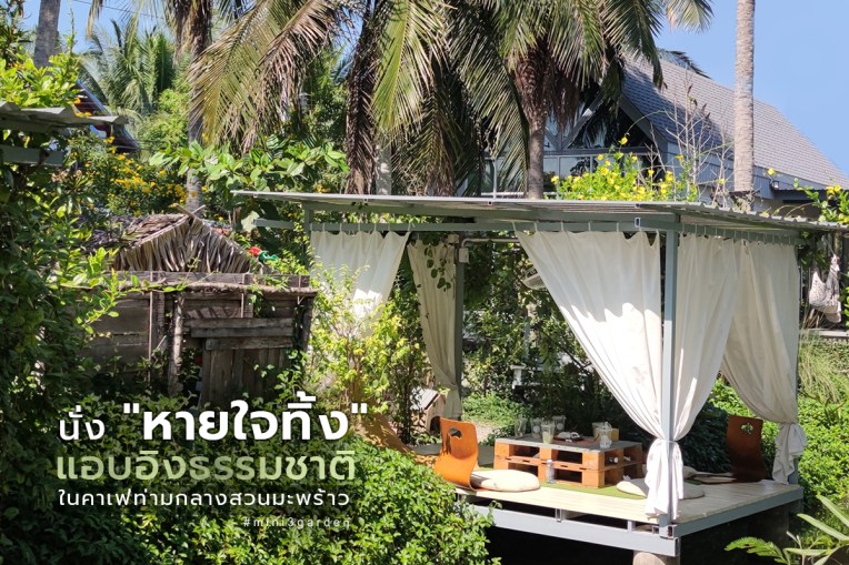นั่ง “หายใจทิ้ง” แอบอิงธรรมชาติ ในคาเฟ่ท่ามกลางสวนมะพร้าว ที่อัมพวา
