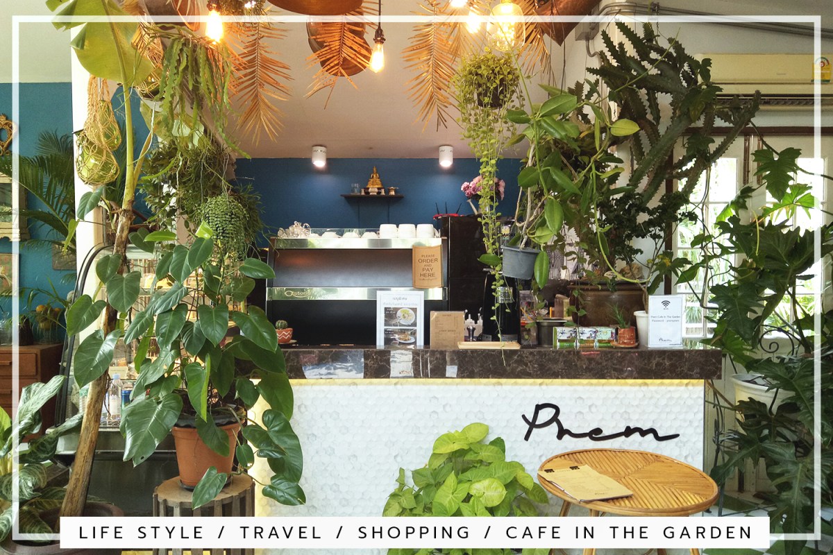 แนะนำสถานที่ ให้กับคนรักต้นไม้ และธรรมชาติ ไปท่องเที่ยว&nbsp;พักผ่อน