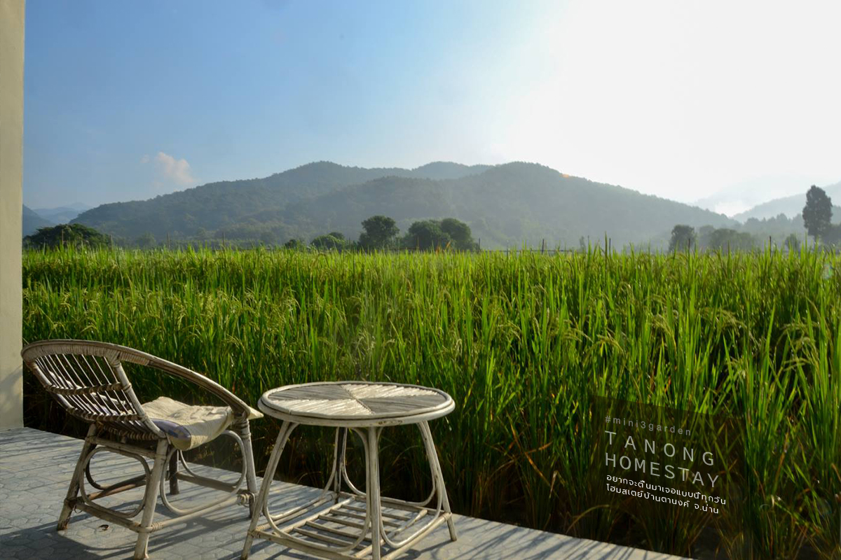 ที่พักหลักร้อย นอนดู วิวธรรมชาติ หลักล้าน!!  โฮมสเตย์ บ้านตานงค์&nbsp;จ.น่าน