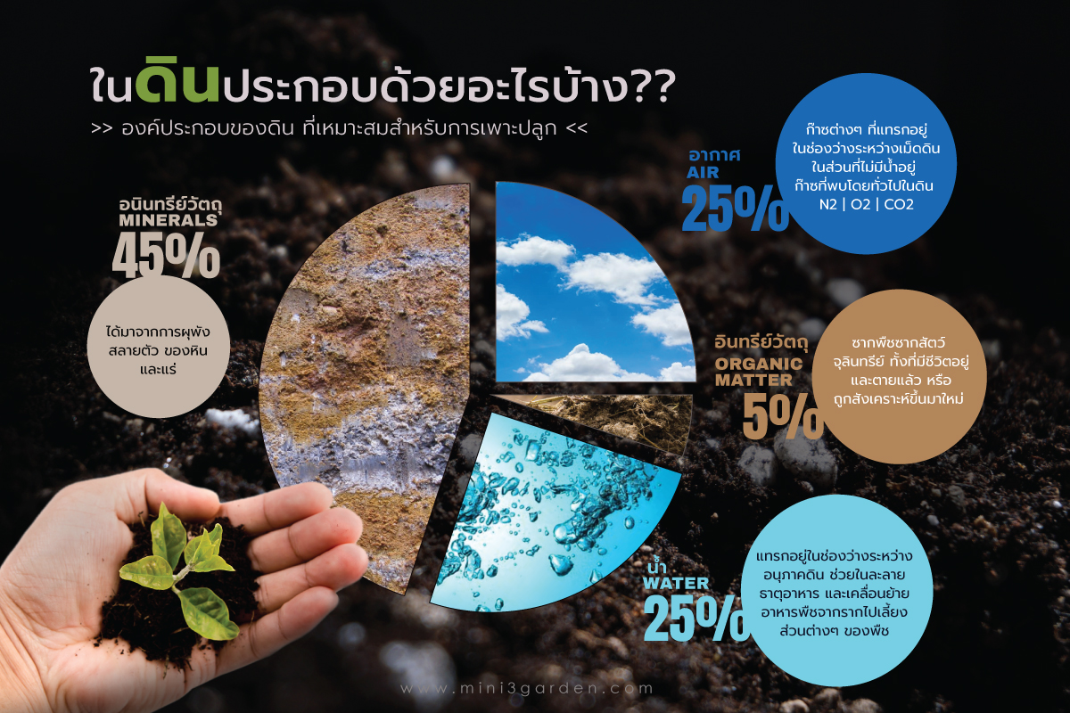 คุณสมบัติ ดินดี มีคุณภาพ ที่เหมาะสมกับการเพาะปลูก ประกอบไปด้วยอะไรบ้าง