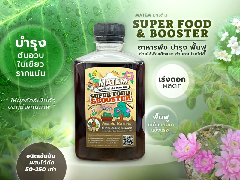 อาหารพืชชนิดเข้มข้น ช่วยบำรุง และฟื้นฟู เร่งดอก ผลดก ( MATEM SUPER FOOD & BOOSTER PLANT) ต้นอวบ ใบเขียว&nbsp;รากแน่น